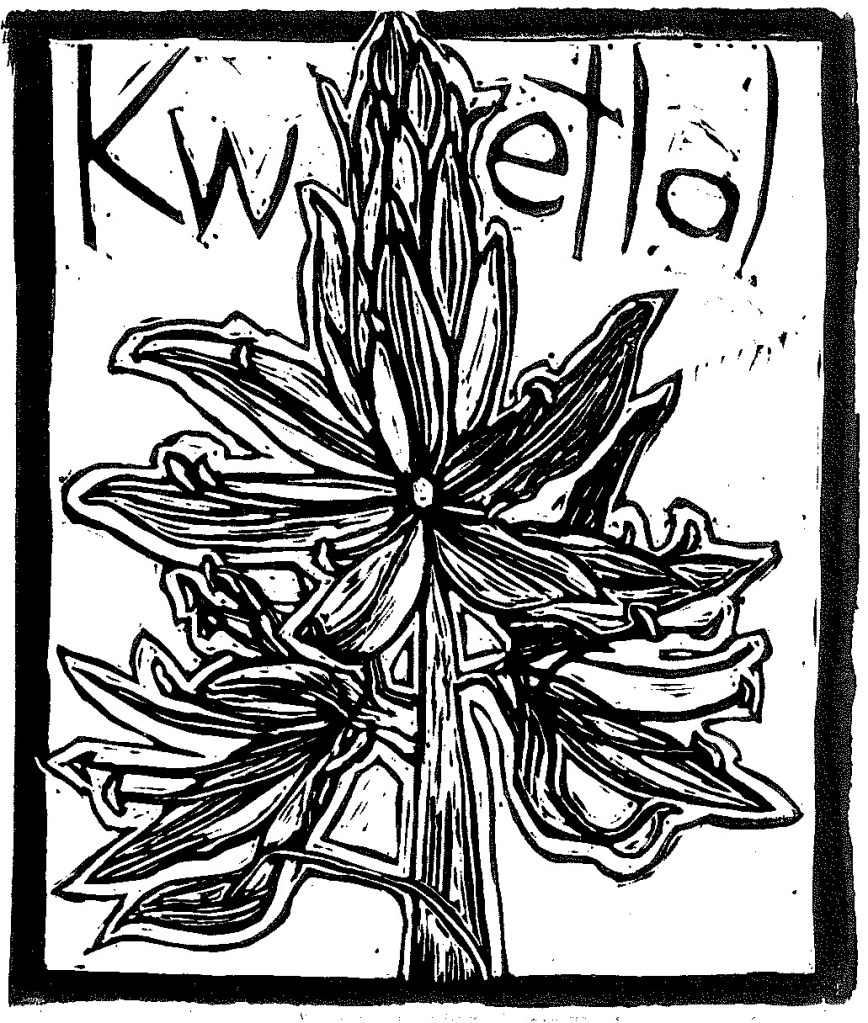 Kwetlal print